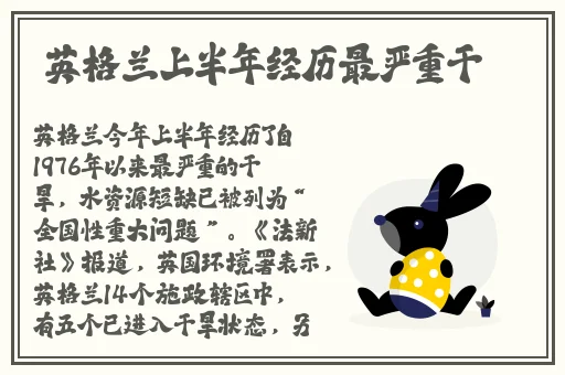榴莲草莓向日葵黄瓜丝瓜2023